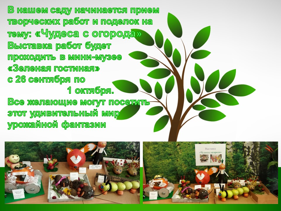 анонс огород