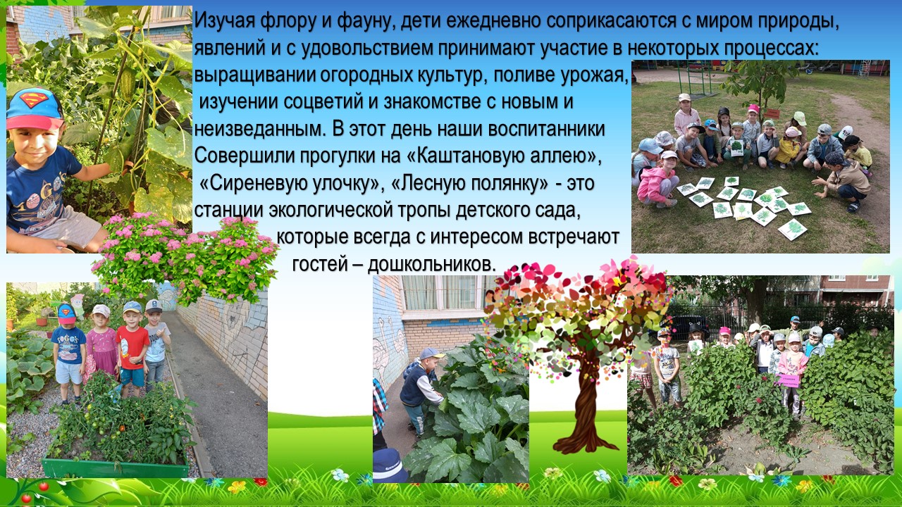 зеленые прогулки