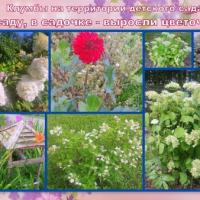 Новая папка206 (1)