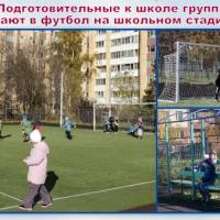 Новая папка229