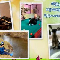 Жизнь прекрасна