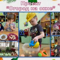 Новая папка91