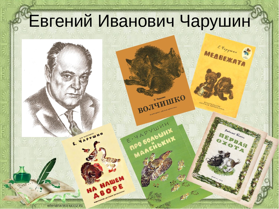чарушин